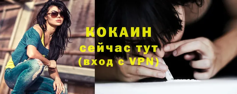 Cocaine Перу  kraken tor  Каменногорск  наркошоп 